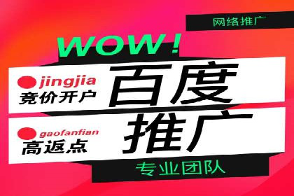 SEM推广案例：竞价代运营助力企业快速崛起